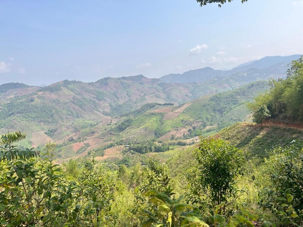 My Story Doichang Chiangrai Ban Huai Khai Exteriör bild